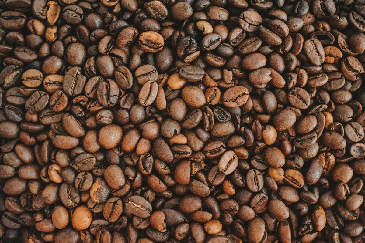 Freshly roasted coffee beans spread across a table