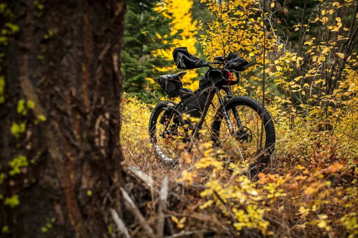 Loaded mountain bike parked among yellow autumn leaves in a forest