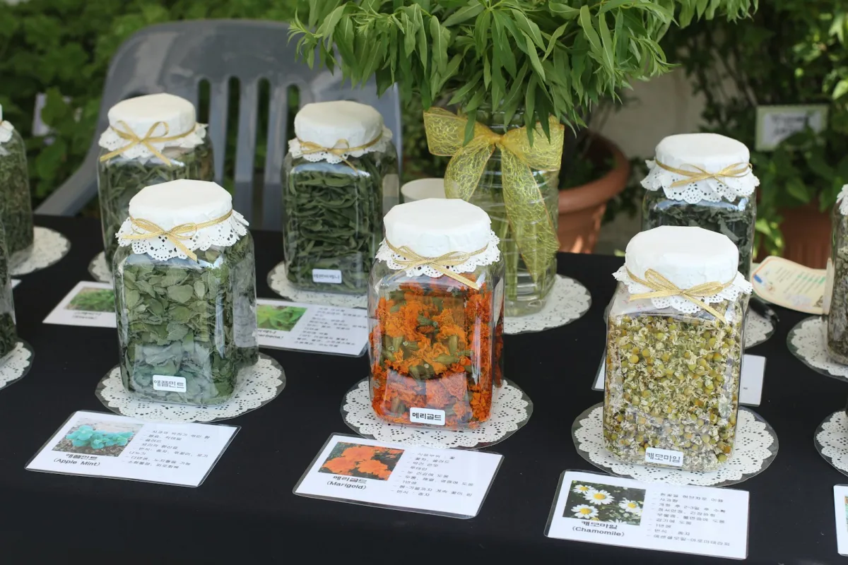 Glass jars of dried herbs and flowers with lace covers on a display table