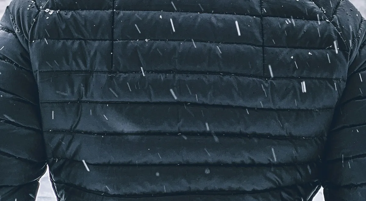 The back of a black quilted puffer jacket in falling snow The back of a black quilted puffer jacket in falling snow