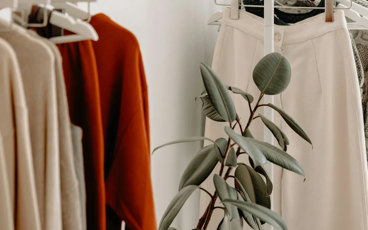 Cream and rust-coloured clothes on white rails beside a rubber plant Cream and rust-coloured clothes on white rails beside a rubber plant