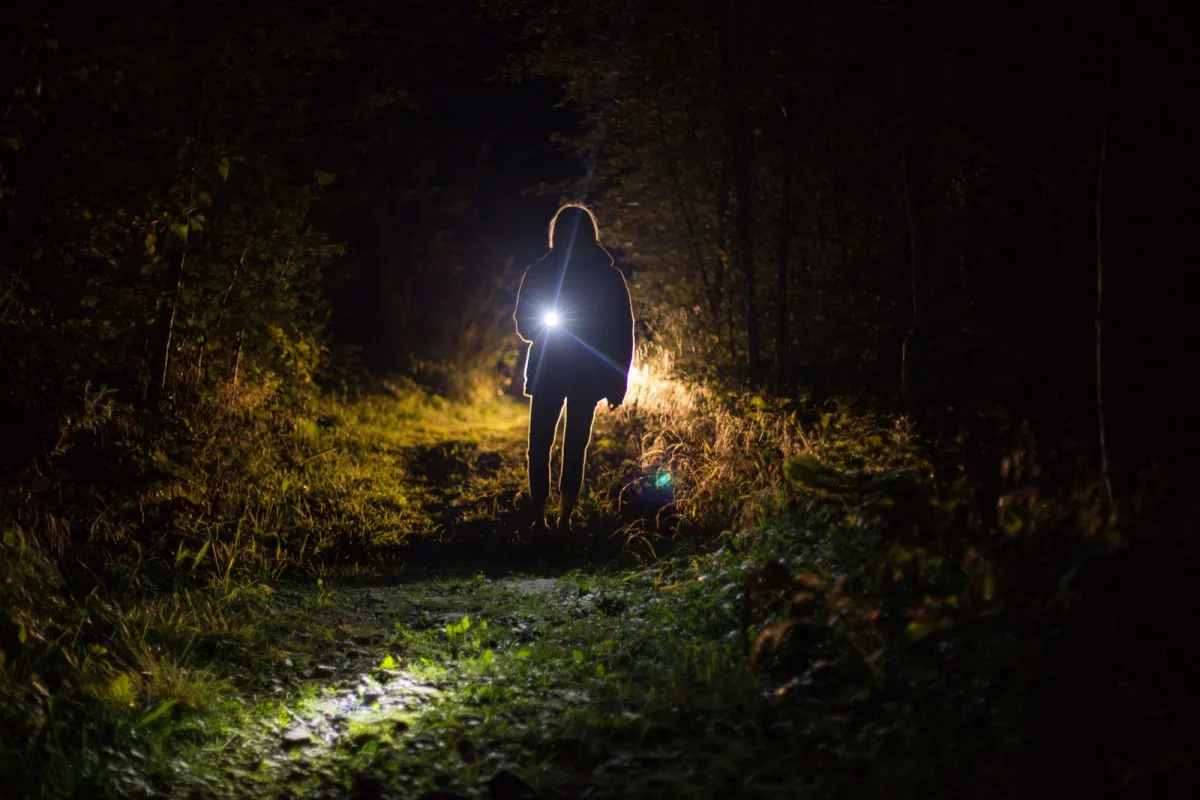 A walker lighting a woodland path at night with a torch A walker lighting a woodland path at night with a torch
