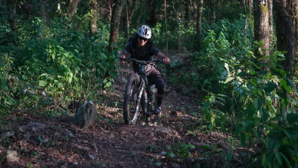 A mountain biker riding down a dirt trail through green woodland A mountain biker riding down a dirt trail through green woodland