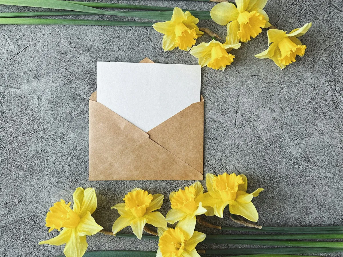A blank card in a brown envelope surrounded by yellow daffodils