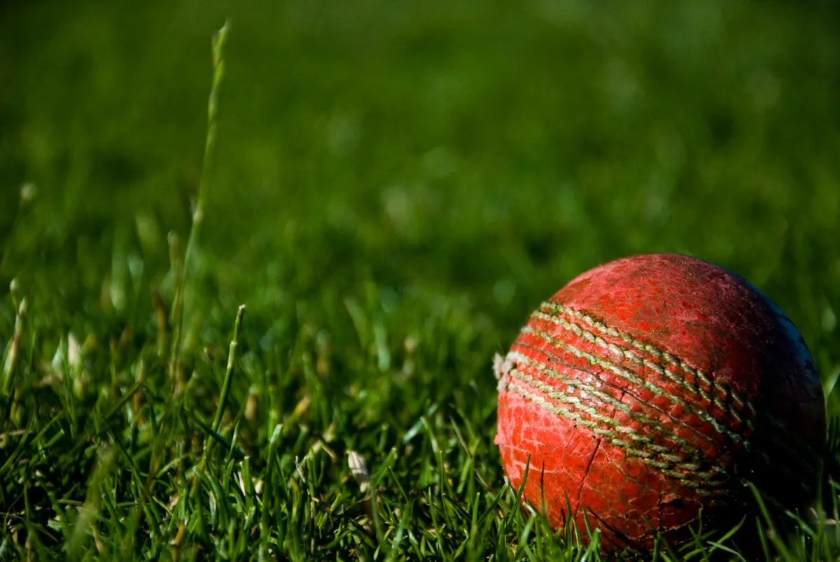 A worn red cricket ball resting in long grass