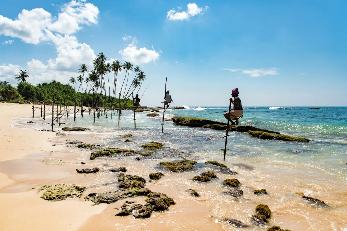 Stilt fishermen on poles in the shallows of a palm-lined beach in Sri Lanka