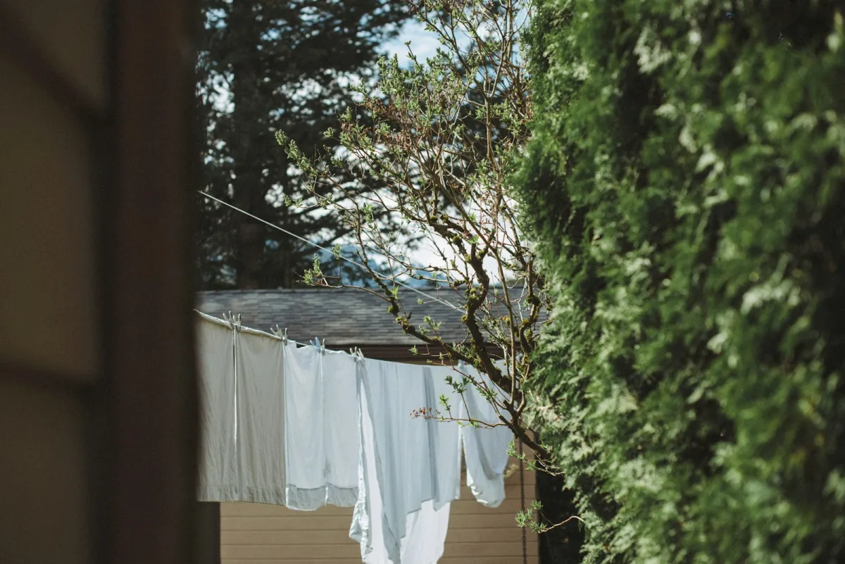 Washing hanging out to dry on a garden clothes line beside a hedge Washing hanging out to dry on a garden clothes line beside a hedge