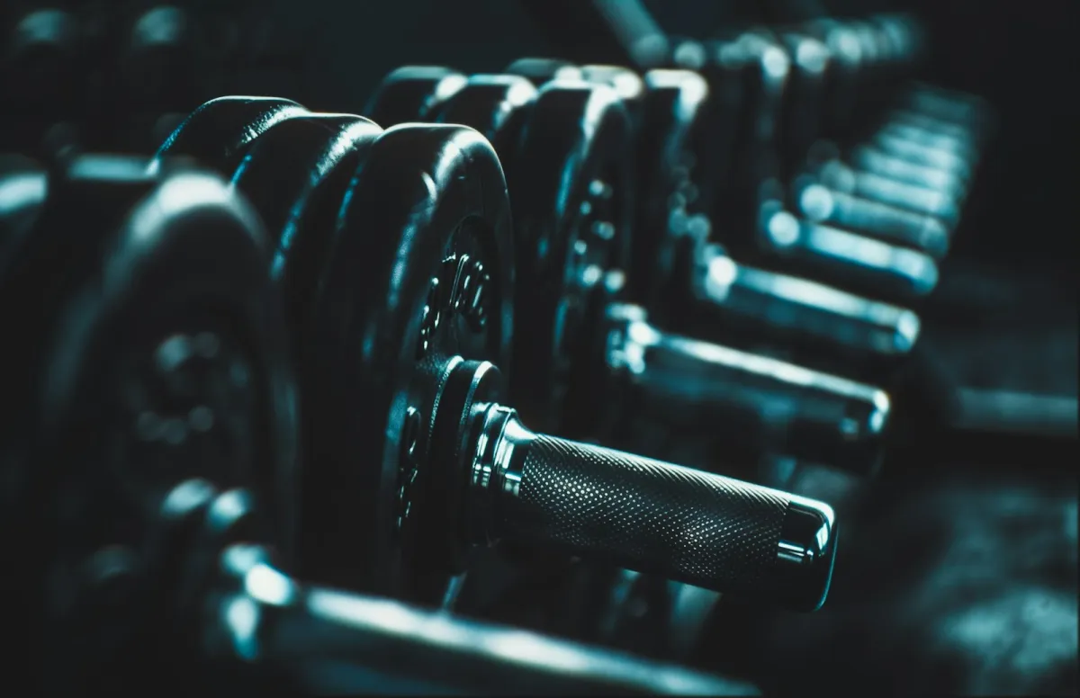 A row of dumbbells on a rack in a dimly lit gym