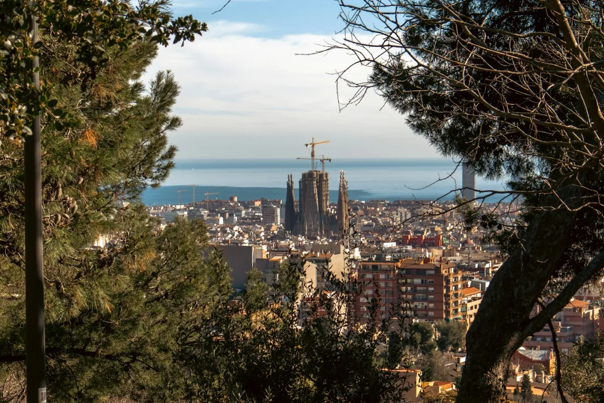 View over Barcelona's rooftops to the Sagrada Família and the sea, framed by pine trees