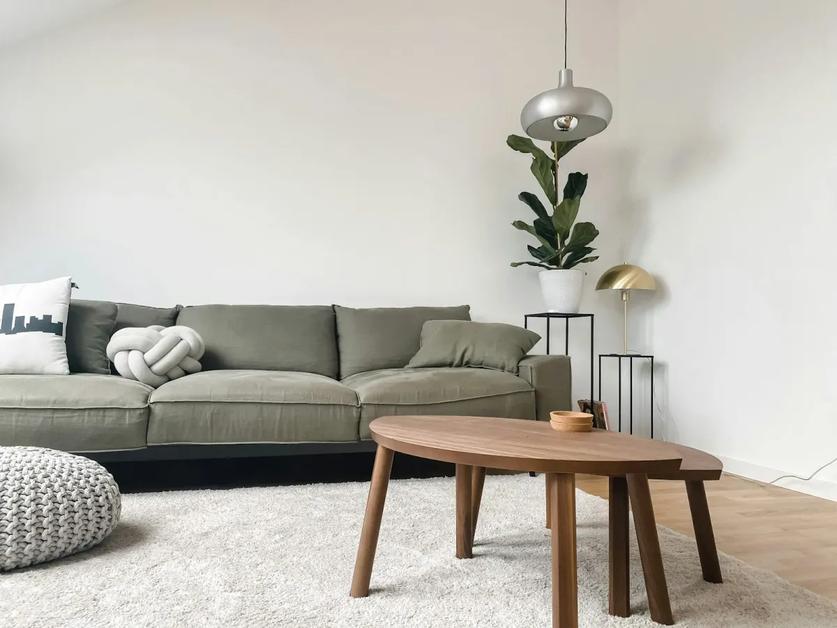 Living room with a green sofa, wooden coffee tables, a rug and a potted plant Living room with a green sofa, wooden coffee tables, a rug and a potted plant