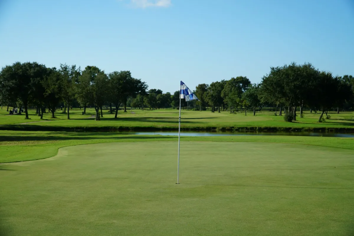 A flag on a putting green with a pond and trees behind, under a clear blue sky