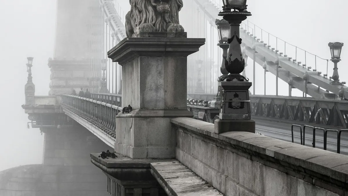 The Chain Bridge in Budapest on a misty morning, with a stone lion and old street lamps The Chain Bridge in Budapest on a misty morning, with a stone lion and old street lamps