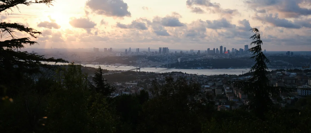 The Istanbul skyline and Bosphorus bridge at sunset, seen through trees