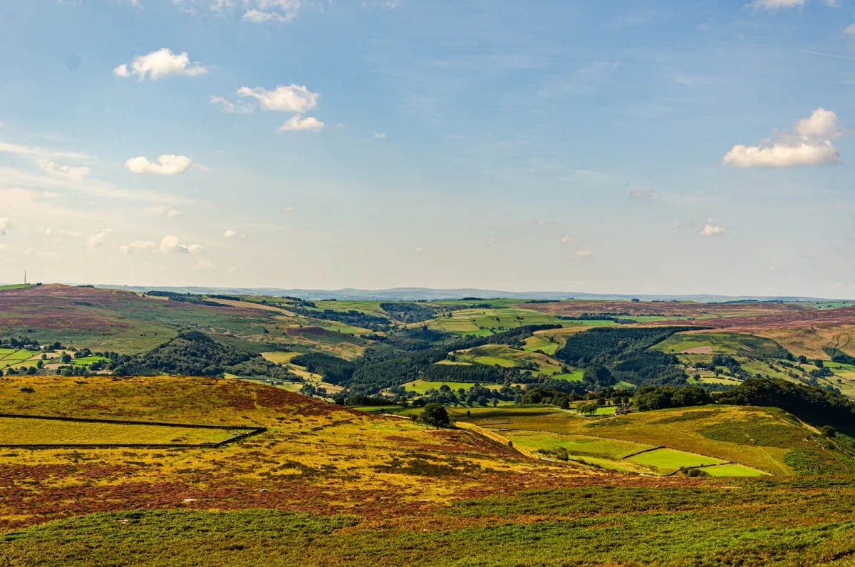 Rolling green and heather-covered hills and fields in the Peak District