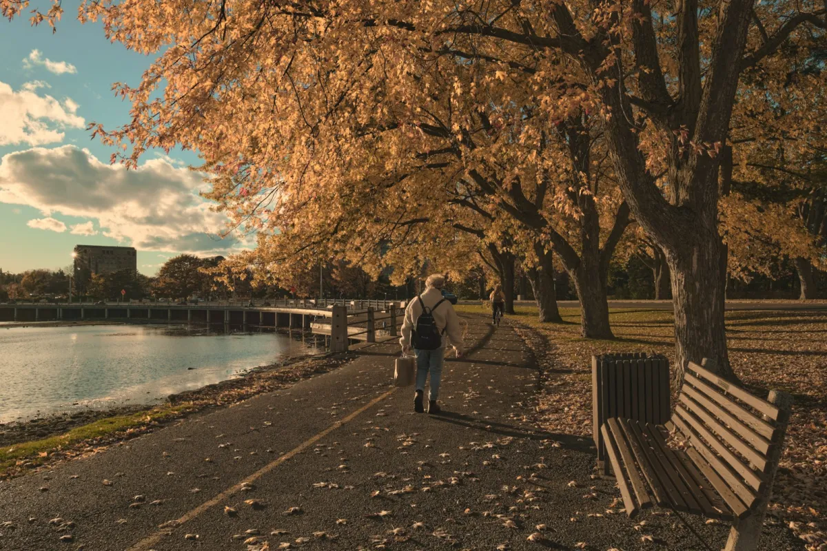 Person walking away along a tree-lined lakeside path in autumn sunshine