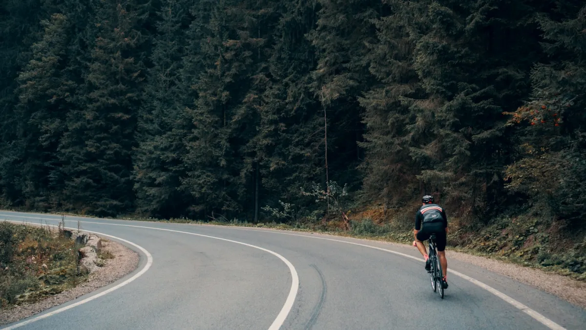 A road cyclist riding round a bend on a quiet road through a pine forest A road cyclist riding round a bend on a quiet road through a pine forest
