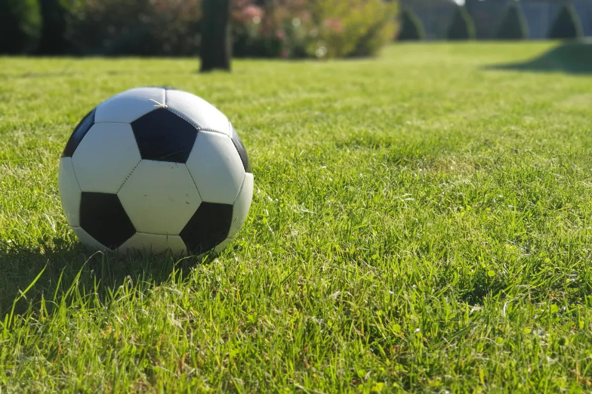 A black and white football on sunny grass in a park A black and white football on sunny grass in a park
