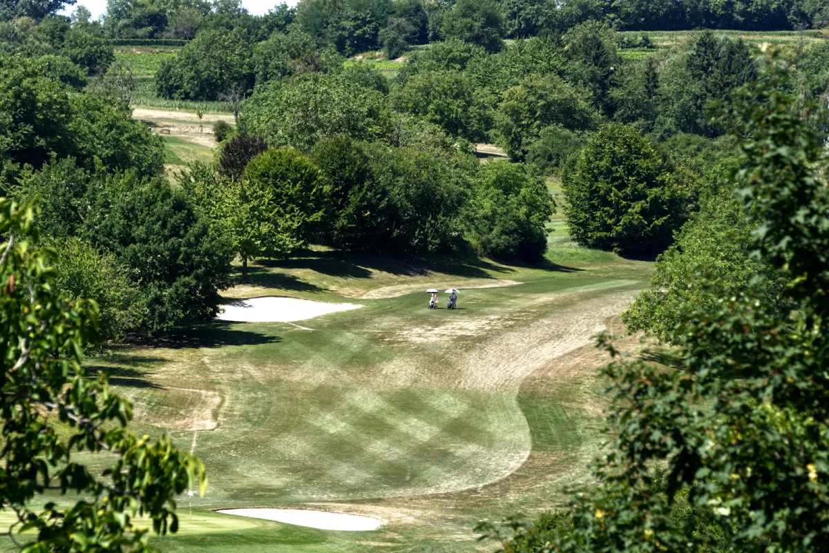 A tree-lined golf fairway with two distant golfers walking beside their trolleys under umbrellas