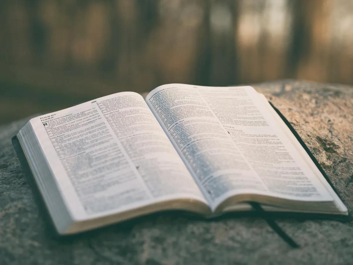 An open Bible resting on a rock outdoors in soft evening light An open Bible resting on a rock outdoors in soft evening light