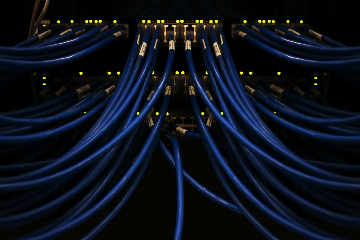 Blue network cables plugged into a switch