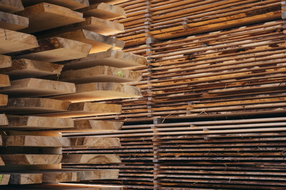 Stacks of sawn timber boards drying in a timber yard Stacks of sawn timber boards drying in a timber yard