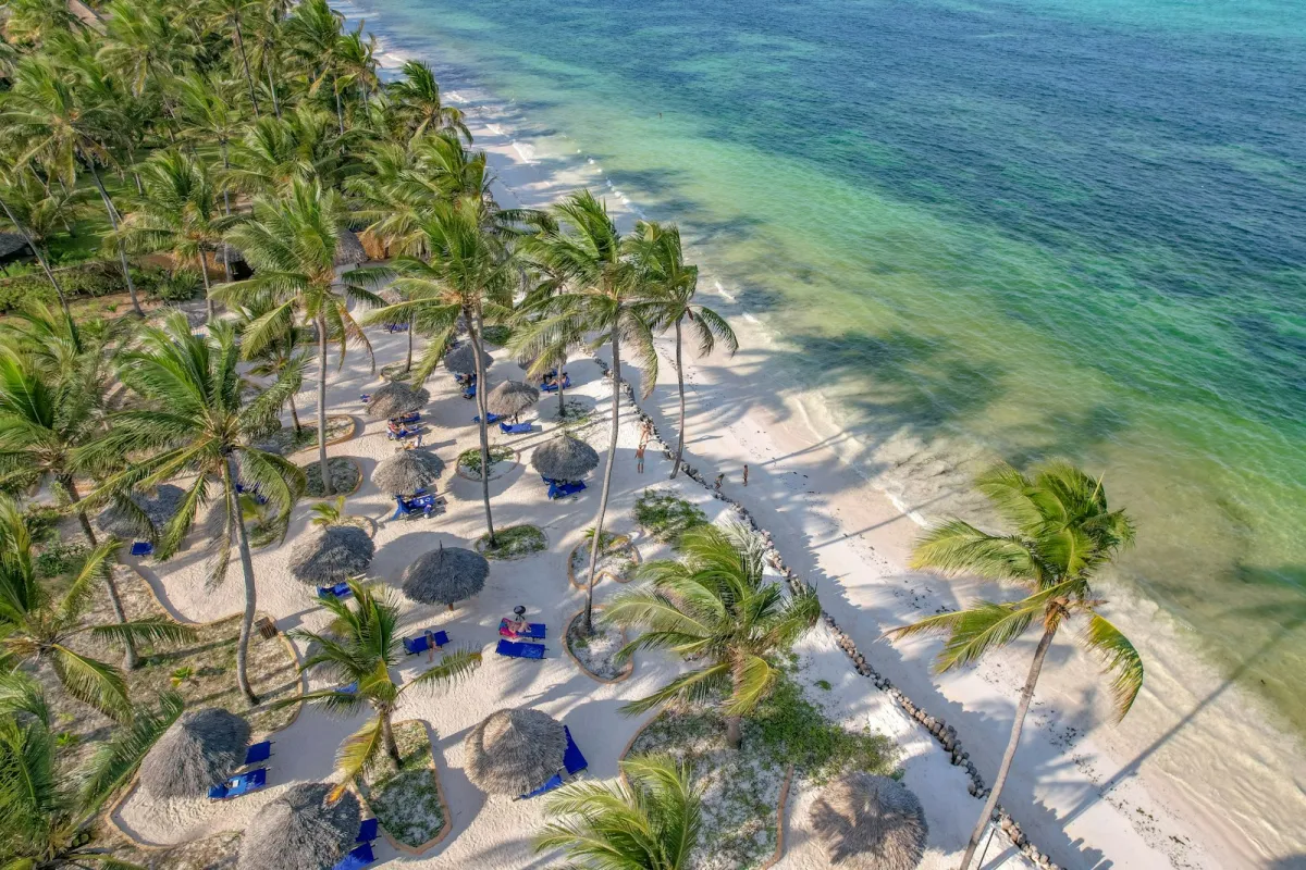 Aerial view of a palm-lined tropical beach with thatched parasols and turquoise sea