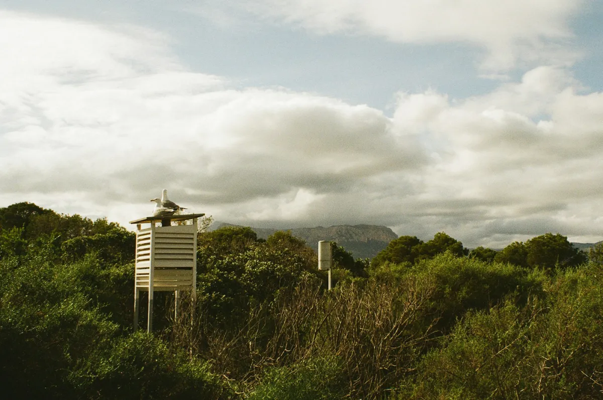 A white louvred weather station screen among green shrubs under a cloudy sky
