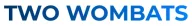 Two Wombats logo