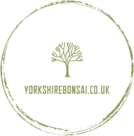 Yorkshire Bonsai Yorkshire Bonsai logo