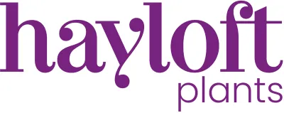 Hayloft logo