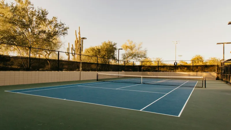 BraceAbility: sports supports and braces in sizes up to 6XL An empty blue tennis court in warm evening light with desert trees behind