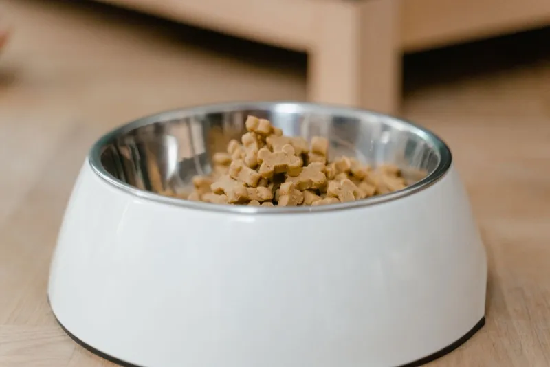 A white dog bowl filled with bone-shaped dog biscuits on a wooden floor