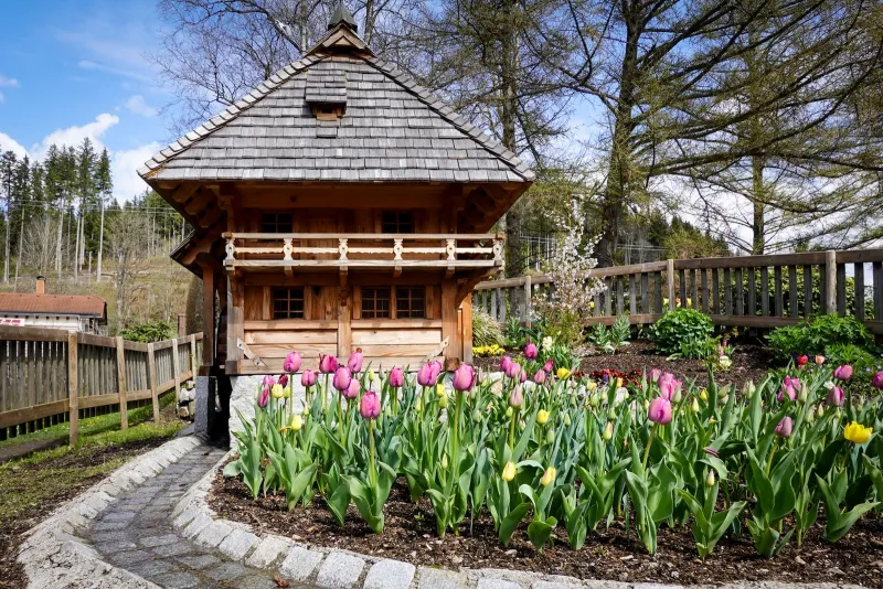 Wooden cabin with a shingle roof behind a bed of pink and yellow tulips