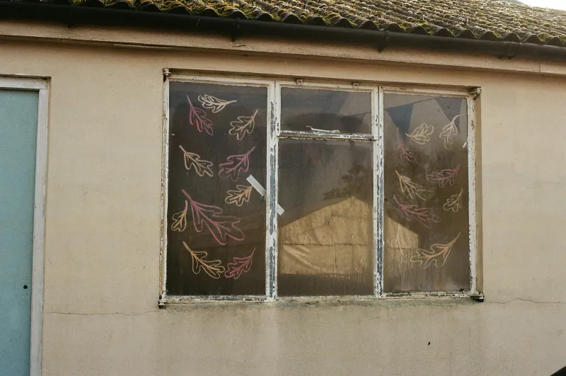 Dizzy Duck Designs: stencils, wall decals and window clings made in Chorley Window decorated with drawn autumn oak leaves on a cream-painted wall