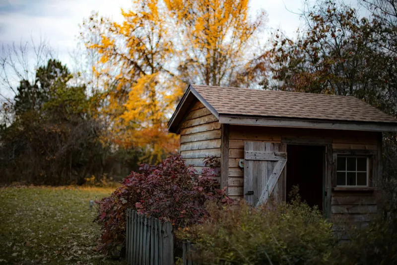 A rustic wooden garden shed among autumn trees and shrubs