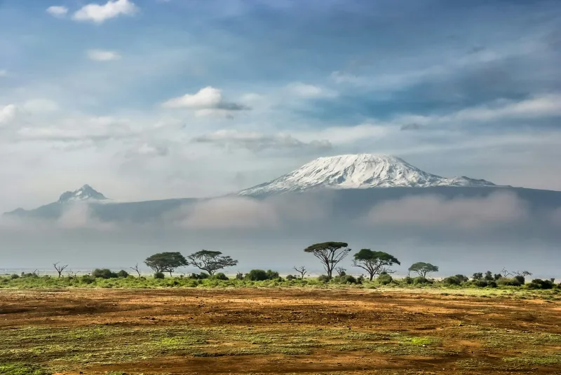 Snow-capped Mount Kilimanjaro rising above clouds and acacia trees in Amboseli National Park