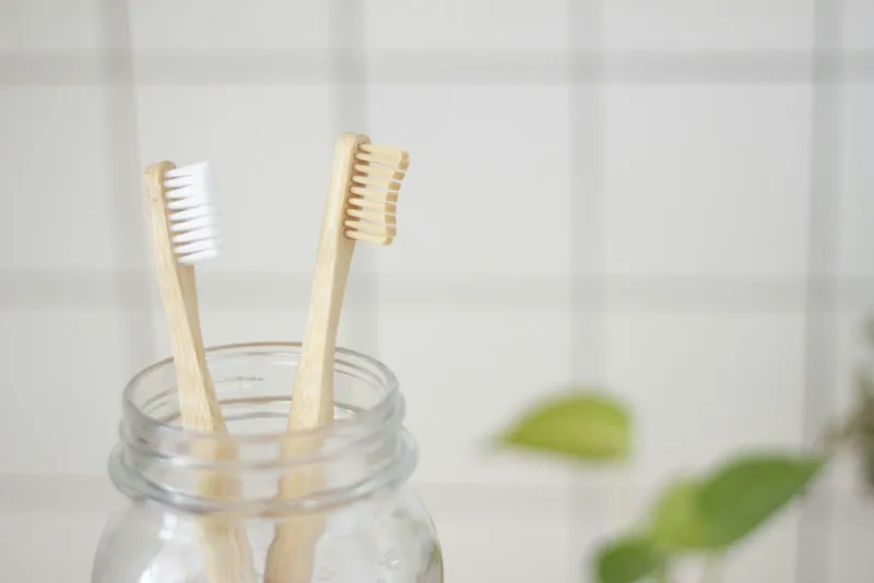 Two bamboo toothbrushes in a glass jar with a green plant in the background