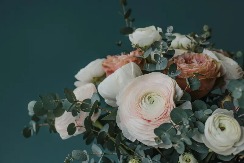 A bouquet of pale pink ranunculus, white roses and eucalyptus against a dark teal wall