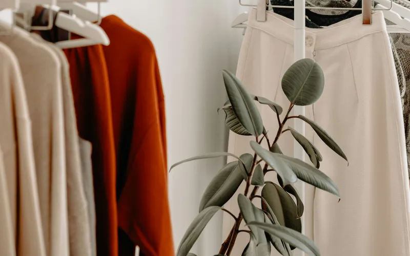 Cream and rust-coloured clothes on white rails beside a rubber plant