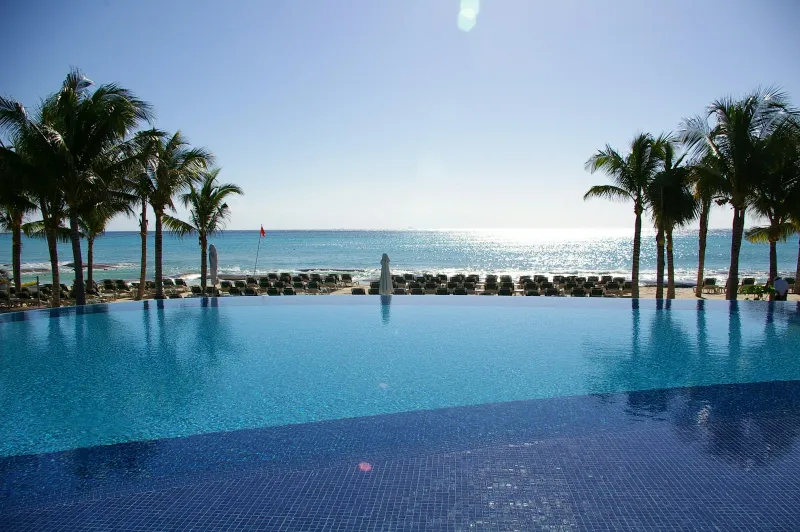 An infinity pool edged by palm trees looking out over a turquoise sea