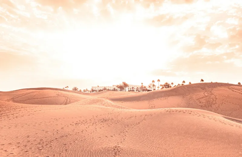 Sand dunes at Maspalomas in Gran Canaria with palm trees and a white hotel on the horizon