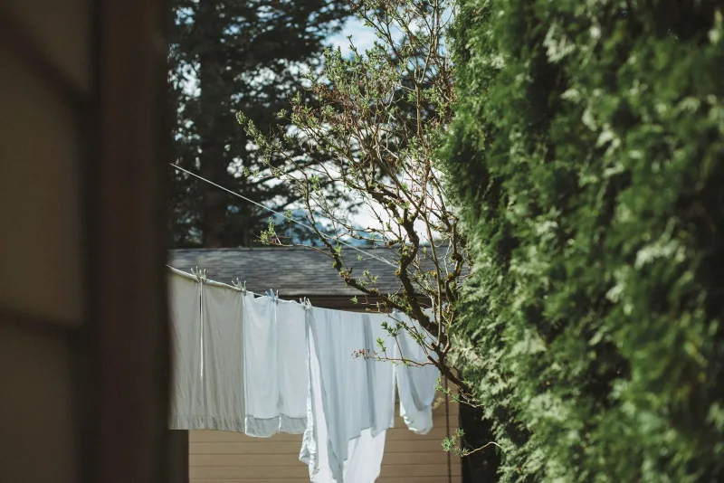 Modibodi: reusable period pants, teen kits and swimwear for UK shoppers Washing hanging out to dry on a garden clothes line beside a hedge
