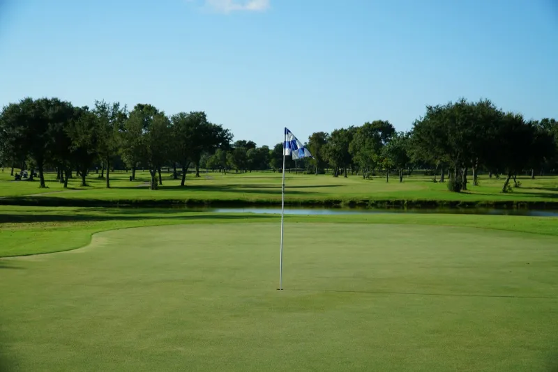 A flag on a putting green with a pond and trees behind, under a clear blue sky