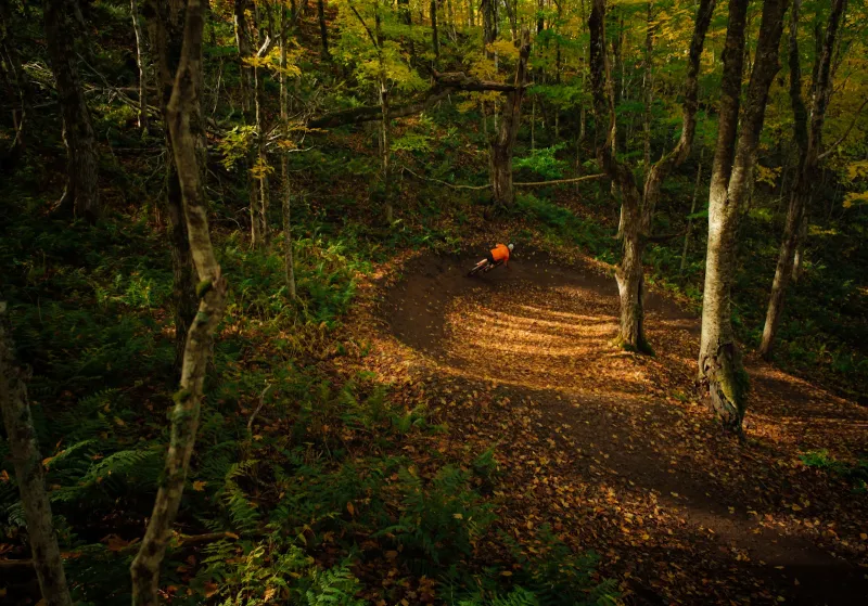 A mountain biker cornering on a leaf-covered forest trail