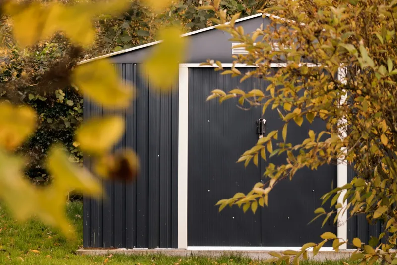 Dark grey garden shed with white trim framed by autumn leaves