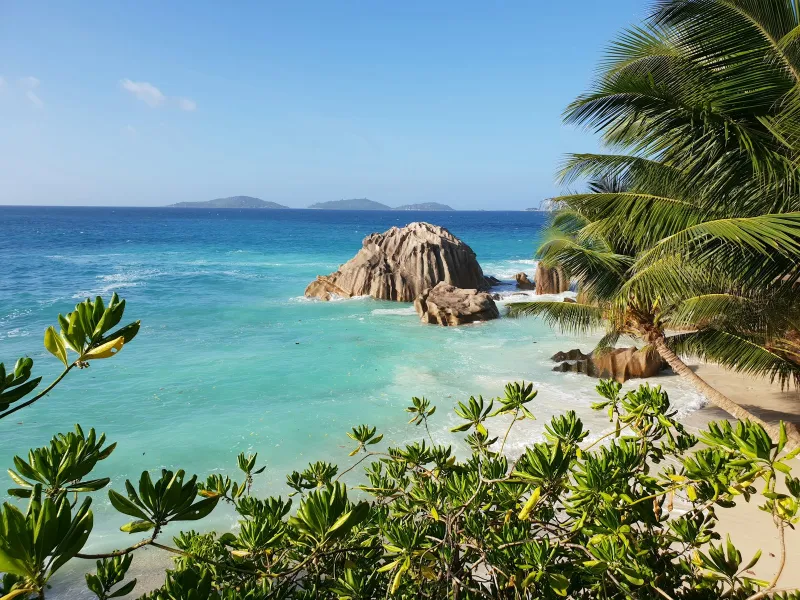 Turquoise sea, granite boulders and palm fronds on a Seychelles beach under a clear sky
