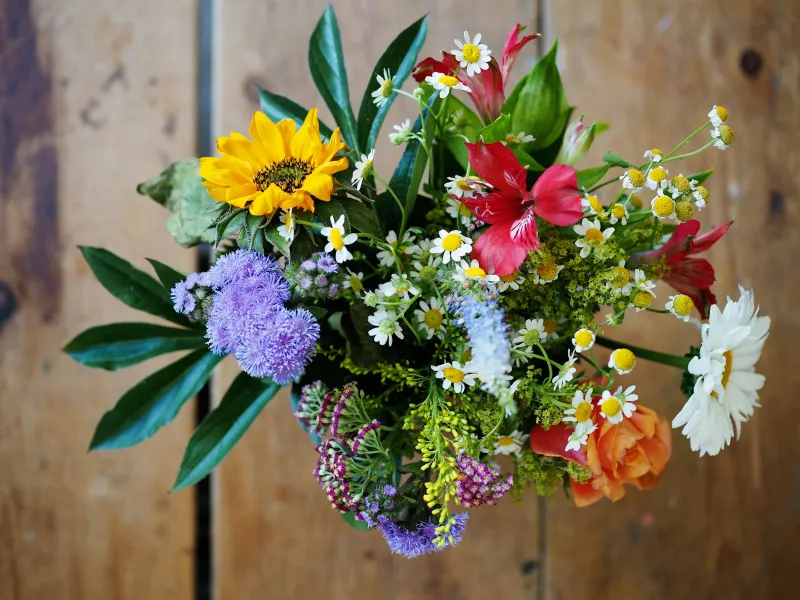 The Blossomist: letterbox flowers, bouquets and subscriptions Assorted colourful cut flowers laid out on a brown wooden surface