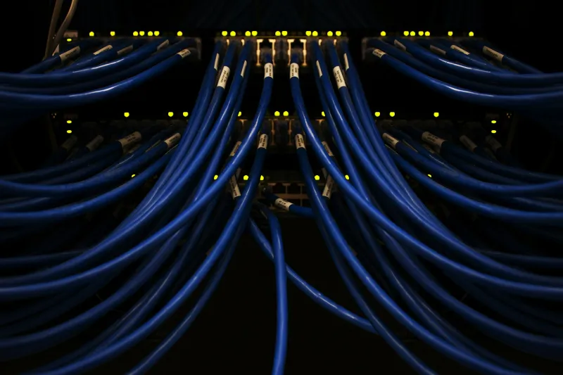 Blue network cables plugged into a switch